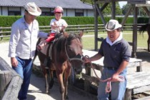 干拓の里ではポニー乗馬をメインに、小動物の管理・厩舎の管理・環境整備などを行なっています。